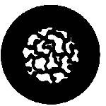 40-4223